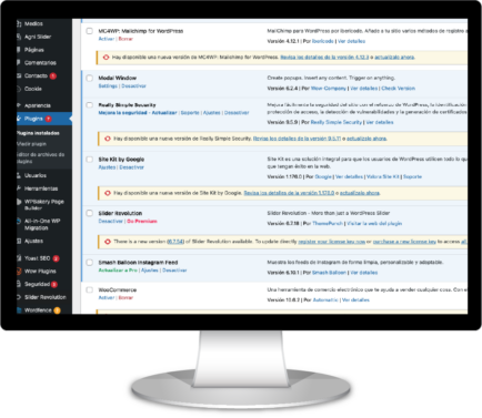 Actualizar wordpress